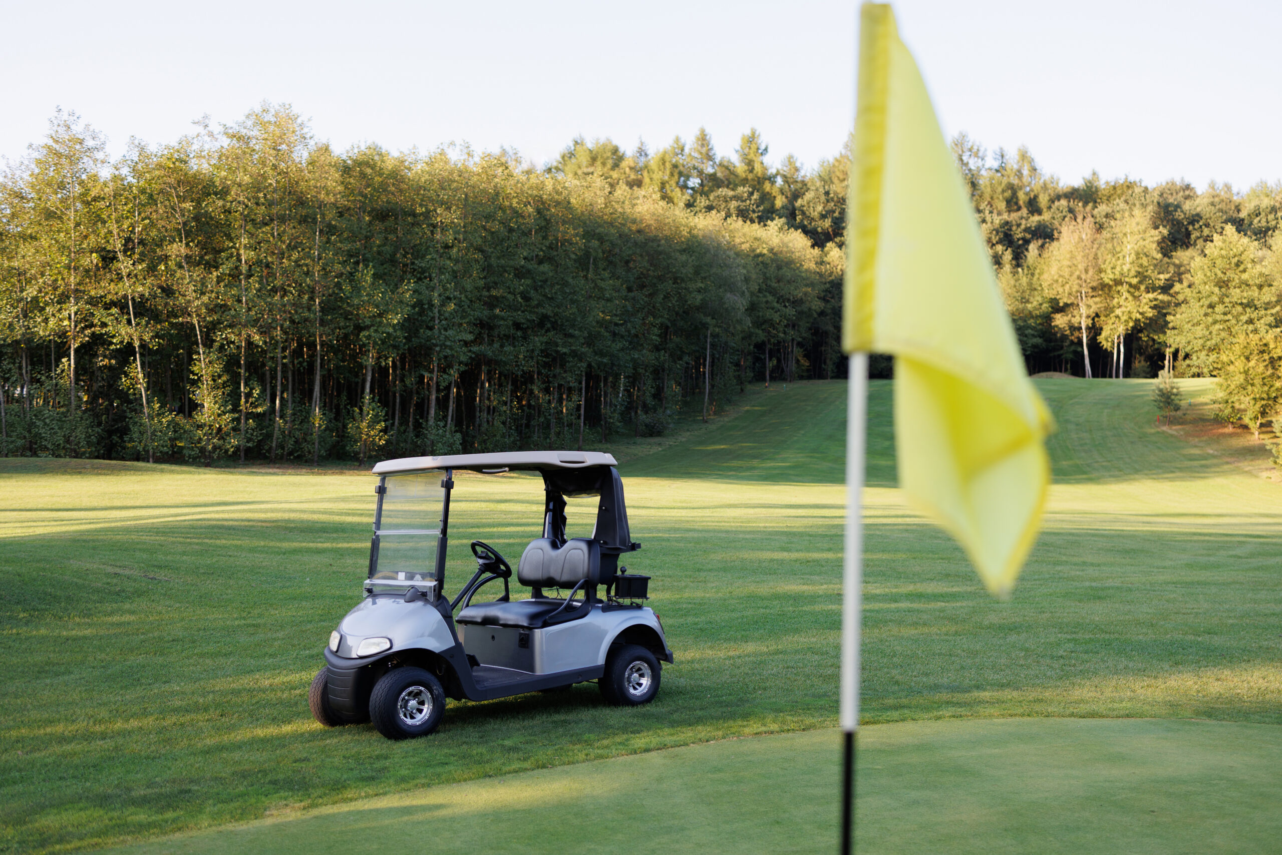 Lightning Detection System for Golf Courses
